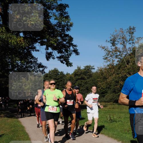 28.09.2025 - 33. Volkslauf durch das schöne Alstertal Fabian Wolf http://msf.ph/oto/8979378 28.09.2025 10:26:33 Laufen 2538, 2121, 1837 meine-sportfotos.de