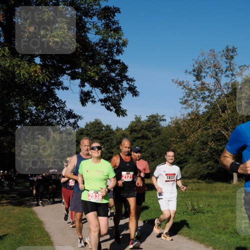 28.09.2025 - 33. Volkslauf durch das schöne Alstertal Fabian Wolf http://msf.ph/oto/8979379 28.09.2025 10:26:33 Laufen 0, 2538, 2121, 1837 meine-sportfotos.de