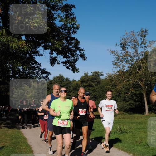 28.09.2025 - 33. Volkslauf durch das schöne Alstertal Fabian Wolf http://msf.ph/oto/8979380 28.09.2025 10:26:33 Laufen 2123, 2121, 1837, 2538 meine-sportfotos.de