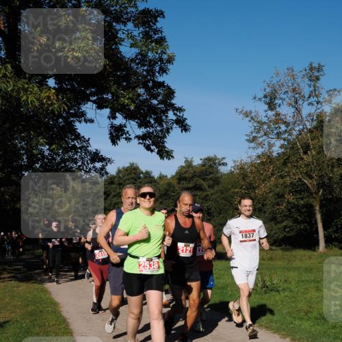 28.09.2025 - 33. Volkslauf durch das schöne Alstertal Fabian Wolf http://msf.ph/oto/8979381 28.09.2025 10:26:33 Laufen 2123, 2410, 2538, 2121, 274, 1837 meine-sportfotos.de