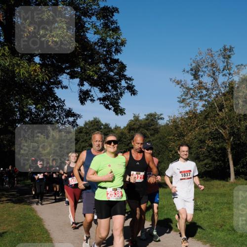 28.09.2025 - 33. Volkslauf durch das schöne Alstertal Fabian Wolf http://msf.ph/oto/8979382 28.09.2025 10:26:34 Laufen 2410, 2538, 121, 1837 meine-sportfotos.de