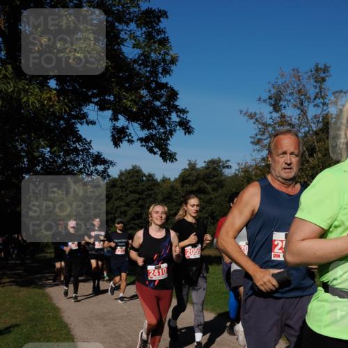 28.09.2025 - 33. Volkslauf durch das schöne Alstertal Fabian Wolf http://msf.ph/oto/8979391 28.09.2025 10:26:35 Laufen 2123, 2317, 2410, 2055, 2 meine-sportfotos.de