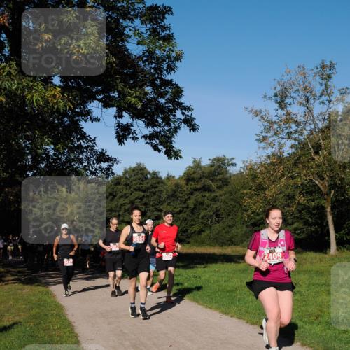 28.09.2025 - 33. Volkslauf durch das schöne Alstertal Fabian Wolf http://msf.ph/oto/8979417 28.09.2025 10:26:43 Laufen 2554, 2584, 2409 meine-sportfotos.de