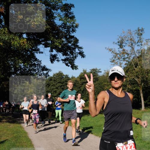 28.09.2025 - 33. Volkslauf durch das schöne Alstertal Fabian Wolf http://msf.ph/oto/8979428 28.09.2025 10:26:48 Laufen 247, 2194, 2422 meine-sportfotos.de