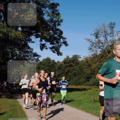 28.09.2025 - 33. Volkslauf durch das schöne Alstertal Fabian Wolf http://msf.ph/oto/8979434 28.09.2025 10:26:49 Laufen 2473, 2472, 0, 21 meine-sportfotos.de
