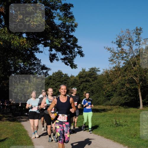 28.09.2025 - 33. Volkslauf durch das schöne Alstertal Fabian Wolf http://msf.ph/oto/8979435 28.09.2025 10:26:50 Laufen 2569 meine-sportfotos.de