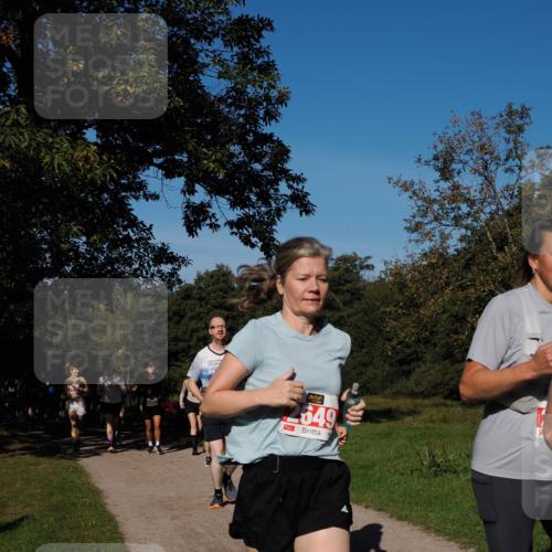 28.09.2025 - 33. Volkslauf durch das schöne Alstertal Fabian Wolf http://msf.ph/oto/8979444 28.09.2025 10:26:52 Laufen 649 meine-sportfotos.de