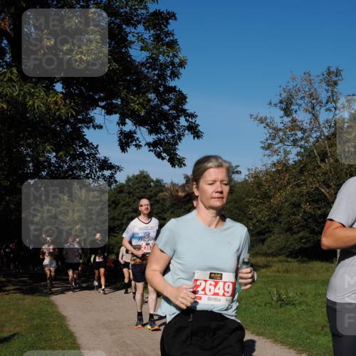 28.09.2025 - 33. Volkslauf durch das schöne Alstertal Fabian Wolf http://msf.ph/oto/8979445 28.09.2025 10:26:52 Laufen 2251, 2357, 2649 meine-sportfotos.de