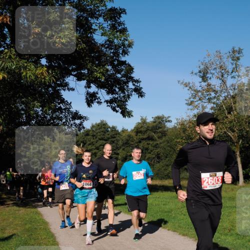 28.09.2025 - 33. Volkslauf durch das schöne Alstertal Fabian Wolf http://msf.ph/oto/8979463 28.09.2025 10:26:59 Laufen 2259, 1068, 2042, 2603 meine-sportfotos.de