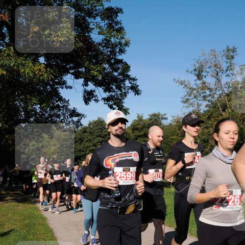 28.09.2025 - 33. Volkslauf durch das schöne Alstertal Fabian Wolf http://msf.ph/oto/8979478 28.09.2025 10:27:05 Laufen 2599, 076, 2226 meine-sportfotos.de
