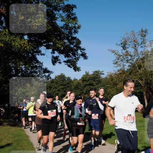 28.09.2025 - 33. Volkslauf durch das schöne Alstertal Fabian Wolf http://msf.ph/oto/8979490 28.09.2025 10:27:08 Laufen 2218, 05, 2302, 10, 2492 meine-sportfotos.de