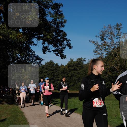 28.09.2025 - 33. Volkslauf durch das schöne Alstertal Fabian Wolf http://msf.ph/oto/8979541 28.09.2025 10:27:17 Laufen 2350, 2148, 26 meine-sportfotos.de