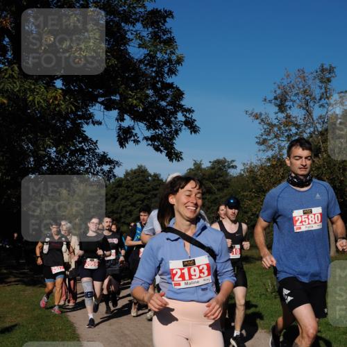 28.09.2025 - 33. Volkslauf durch das schöne Alstertal Fabian Wolf http://msf.ph/oto/8979546 28.09.2025 10:27:22 Laufen 2557, 2059, 2193, 610, 2580, 8 meine-sportfotos.de
