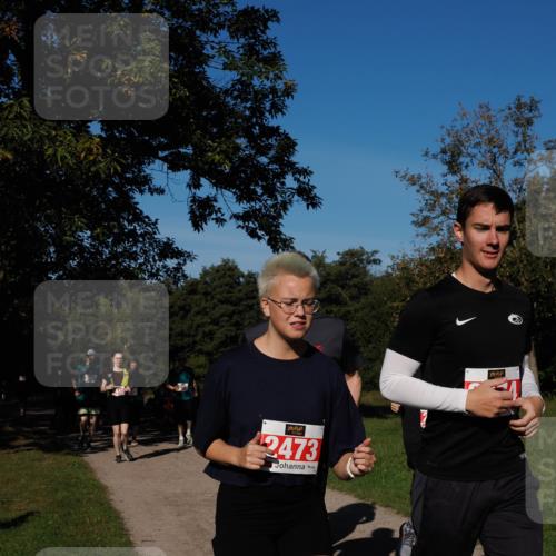 28.09.2025 - 33. Volkslauf durch das schöne Alstertal Fabian Wolf http://msf.ph/oto/8979568 28.09.2025 10:27:34 Laufen 2473 meine-sportfotos.de
