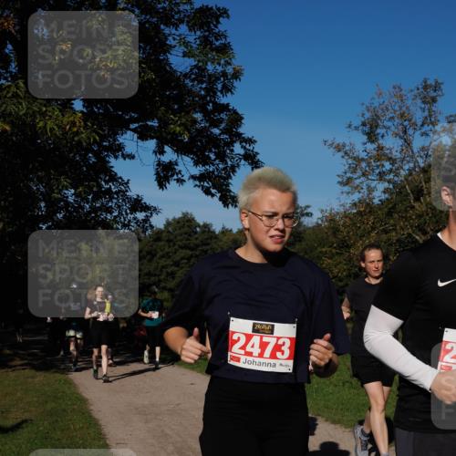 28.09.2025 - 33. Volkslauf durch das schöne Alstertal Fabian Wolf http://msf.ph/oto/8979570 28.09.2025 10:27:34 Laufen 2473, 2 meine-sportfotos.de