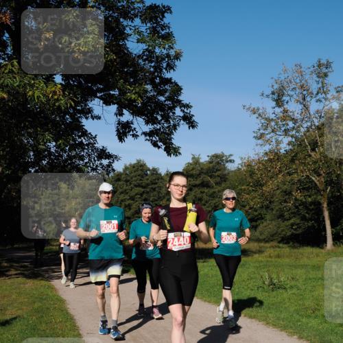 28.09.2025 - 33. Volkslauf durch das schöne Alstertal Fabian Wolf http://msf.ph/oto/8979574 28.09.2025 10:27:38 Laufen 2547, 2001, 2440, 2003 meine-sportfotos.de