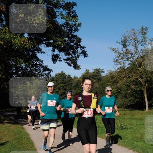 28.09.2025 - 33. Volkslauf durch das schöne Alstertal Fabian Wolf http://msf.ph/oto/8979576 28.09.2025 10:27:38 Laufen 2001, 2440, 2003 meine-sportfotos.de