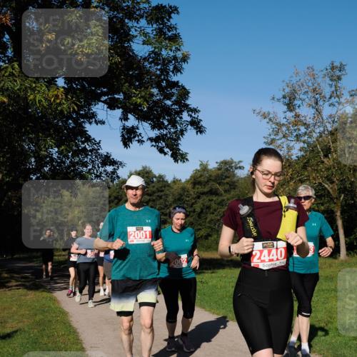 28.09.2025 - 33. Volkslauf durch das schöne Alstertal Fabian Wolf http://msf.ph/oto/8979581 28.09.2025 10:27:39 Laufen 2001, 2002, 2440 meine-sportfotos.de