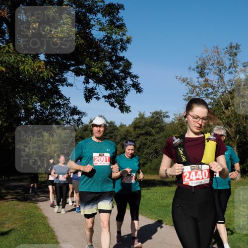 28.09.2025 - 33. Volkslauf durch das schöne Alstertal Fabian Wolf http://msf.ph/oto/8979582 28.09.2025 10:27:39 Laufen 2547, 2001, 2002, 2440 meine-sportfotos.de