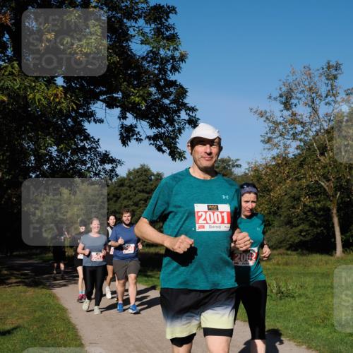 28.09.2025 - 33. Volkslauf durch das schöne Alstertal Fabian Wolf http://msf.ph/oto/8979587 28.09.2025 10:27:40 Laufen 2547, 2001, 2002 meine-sportfotos.de