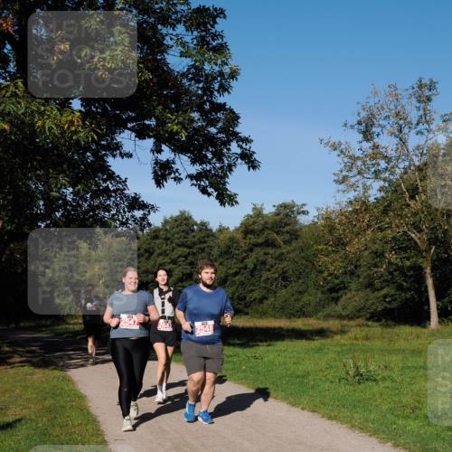 28.09.2025 - 33. Volkslauf durch das schöne Alstertal Fabian Wolf http://msf.ph/oto/8979593 28.09.2025 10:27:41 Laufen 2547, 2643, 2548 meine-sportfotos.de