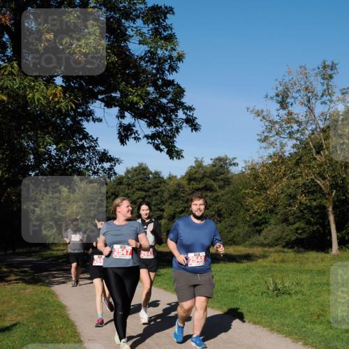 28.09.2025 - 33. Volkslauf durch das schöne Alstertal Fabian Wolf http://msf.ph/oto/8979600 28.09.2025 10:27:42 Laufen 264, 2547, 2643, 2548 meine-sportfotos.de
