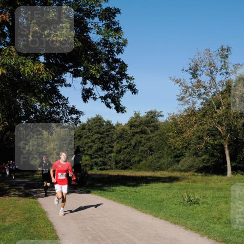 28.09.2025 - 33. Volkslauf durch das schöne Alstertal Fabian Wolf http://msf.ph/oto/8979629 28.09.2025 10:33:23 Laufen 412, 3330 meine-sportfotos.de