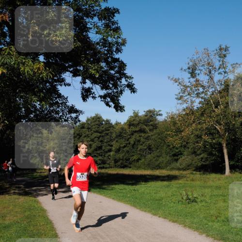 28.09.2025 - 33. Volkslauf durch das schöne Alstertal Fabian Wolf http://msf.ph/oto/8979632 28.09.2025 10:33:23 Laufen 3330 meine-sportfotos.de
