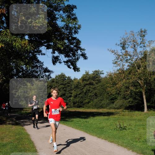 28.09.2025 - 33. Volkslauf durch das schöne Alstertal Fabian Wolf http://msf.ph/oto/8979633 28.09.2025 10:33:23 Laufen 3330 meine-sportfotos.de