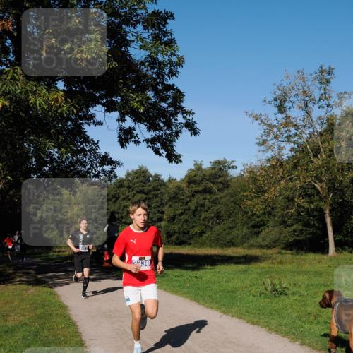 28.09.2025 - 33. Volkslauf durch das schöne Alstertal Fabian Wolf http://msf.ph/oto/8979635 28.09.2025 10:33:24 Laufen 2330 meine-sportfotos.de