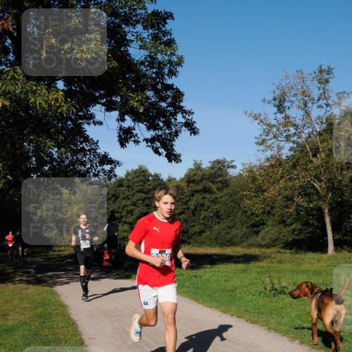 28.09.2025 - 33. Volkslauf durch das schöne Alstertal Fabian Wolf http://msf.ph/oto/8979637 28.09.2025 10:33:24 Laufen  meine-sportfotos.de