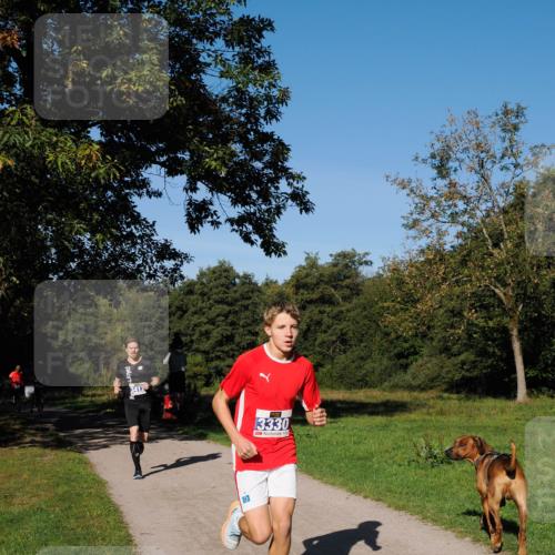 28.09.2025 - 33. Volkslauf durch das schöne Alstertal Fabian Wolf http://msf.ph/oto/8979638 28.09.2025 10:33:24 Laufen 3330 meine-sportfotos.de