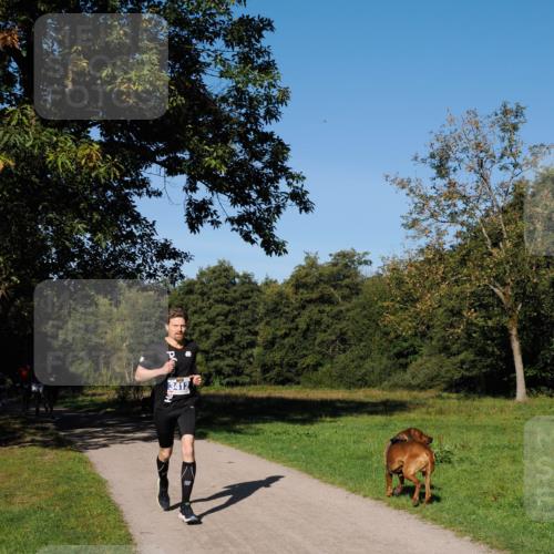 28.09.2025 - 33. Volkslauf durch das schöne Alstertal Fabian Wolf http://msf.ph/oto/8979641 28.09.2025 10:33:25 Laufen 3412 meine-sportfotos.de