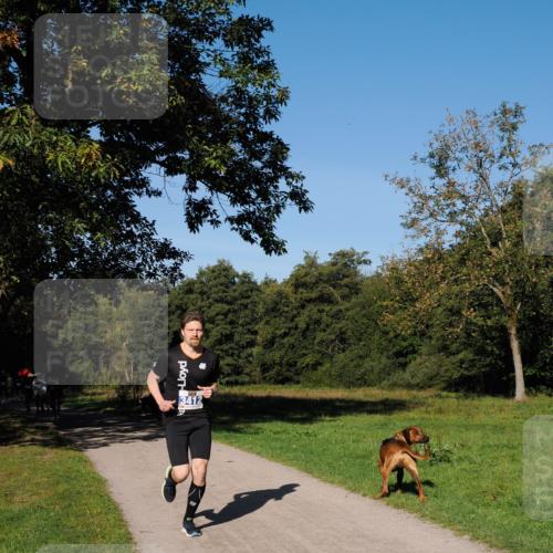 28.09.2025 - 33. Volkslauf durch das schöne Alstertal Fabian Wolf http://msf.ph/oto/8979643 28.09.2025 10:33:25 Laufen  meine-sportfotos.de