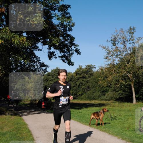 28.09.2025 - 33. Volkslauf durch das schöne Alstertal Fabian Wolf http://msf.ph/oto/8979648 28.09.2025 10:33:25 Laufen 41, 3412 meine-sportfotos.de