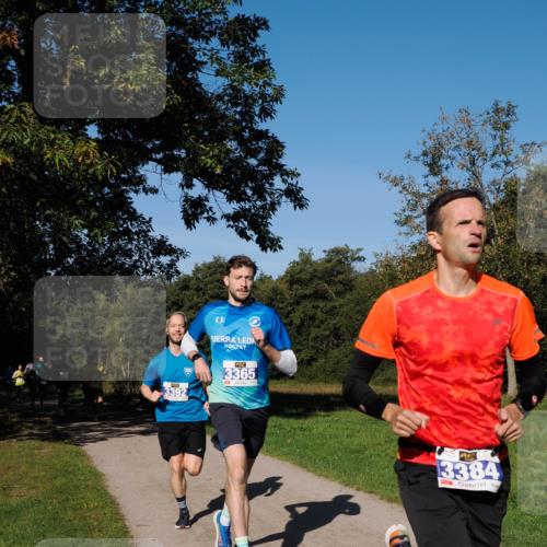28.09.2025 - 33. Volkslauf durch das schöne Alstertal Fabian Wolf http://msf.ph/oto/8979663 28.09.2025 10:33:32 Laufen 3392, 3365, 3384 meine-sportfotos.de