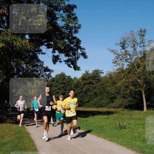 28.09.2025 - 33. Volkslauf durch das schöne Alstertal Fabian Wolf http://msf.ph/oto/8979680 28.09.2025 10:33:36 Laufen 3910, 3349, 912, 3908 meine-sportfotos.de