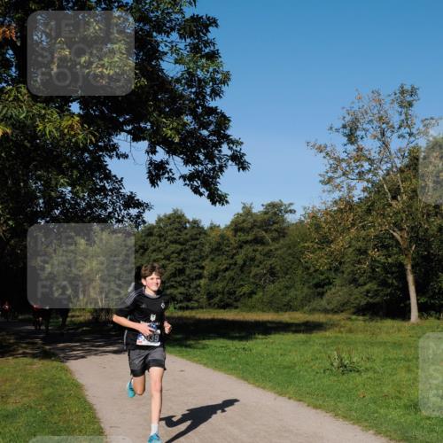 28.09.2025 - 33. Volkslauf durch das schöne Alstertal Fabian Wolf http://msf.ph/oto/8979720 28.09.2025 10:33:49 Laufen  meine-sportfotos.de