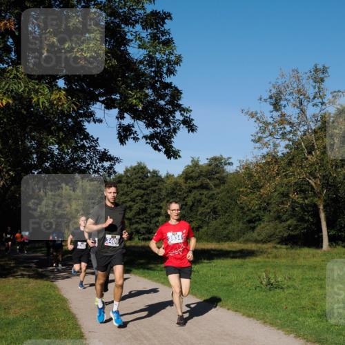 28.09.2025 - 33. Volkslauf durch das schöne Alstertal Fabian Wolf http://msf.ph/oto/8979765 28.09.2025 10:34:05 Laufen 3406, 3934 meine-sportfotos.de