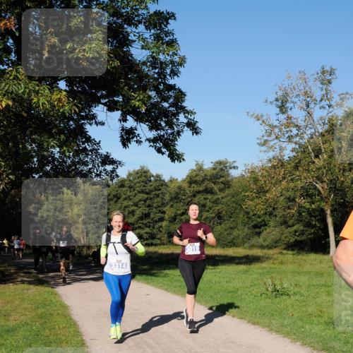 28.09.2025 - 33. Volkslauf durch das schöne Alstertal Fabian Wolf http://msf.ph/oto/8979807 28.09.2025 10:34:16 Laufen 3314, 3019 meine-sportfotos.de