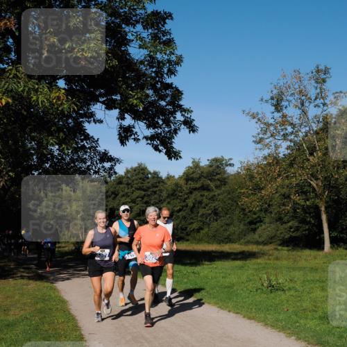28.09.2025 - 33. Volkslauf durch das schöne Alstertal Fabian Wolf http://msf.ph/oto/8979857 28.09.2025 10:34:27 Laufen 30 meine-sportfotos.de