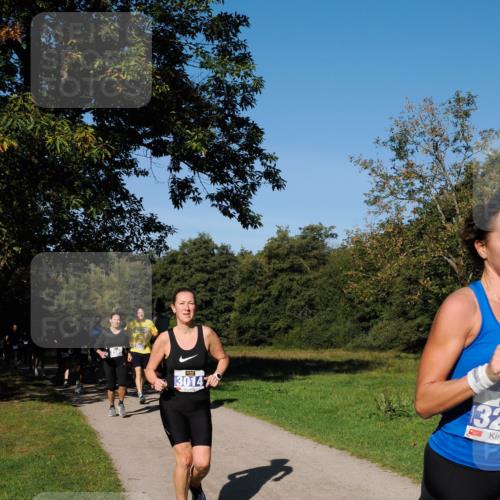 28.09.2025 - 33. Volkslauf durch das schöne Alstertal Fabian Wolf http://msf.ph/oto/8979878 28.09.2025 10:34:33 Laufen 2, 130147, 132 meine-sportfotos.de