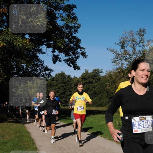 28.09.2025 - 33. Volkslauf durch das schöne Alstertal Fabian Wolf http://msf.ph/oto/8979899 28.09.2025 10:34:36 Laufen 3308, 317, 3909, 3369 meine-sportfotos.de