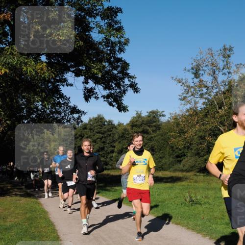 28.09.2025 - 33. Volkslauf durch das schöne Alstertal Fabian Wolf http://msf.ph/oto/8979901 28.09.2025 10:34:37 Laufen 3308, 3178, 3909 meine-sportfotos.de
