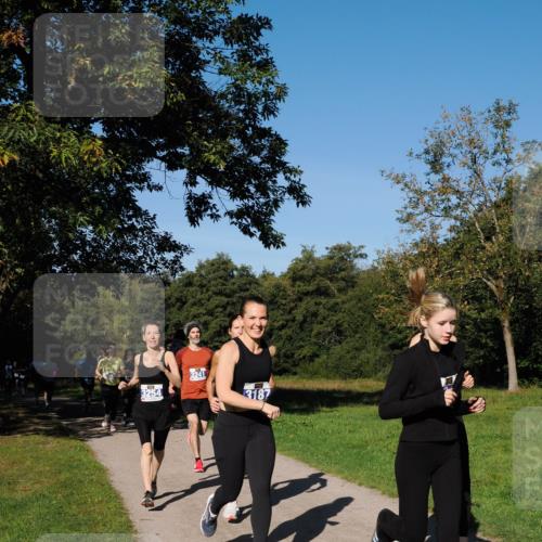 28.09.2025 - 33. Volkslauf durch das schöne Alstertal Fabian Wolf http://msf.ph/oto/8979976 28.09.2025 10:34:47 Laufen 3254, 3241, 3187 meine-sportfotos.de