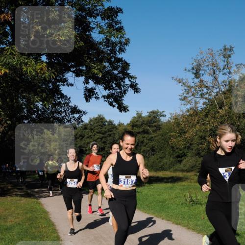 28.09.2025 - 33. Volkslauf durch das schöne Alstertal Fabian Wolf http://msf.ph/oto/8979978 28.09.2025 10:34:48 Laufen 3254, 3187 meine-sportfotos.de