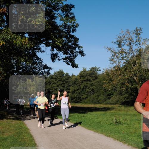 28.09.2025 - 33. Volkslauf durch das schöne Alstertal Fabian Wolf http://msf.ph/oto/8979997 28.09.2025 10:34:49 Laufen 3136 meine-sportfotos.de