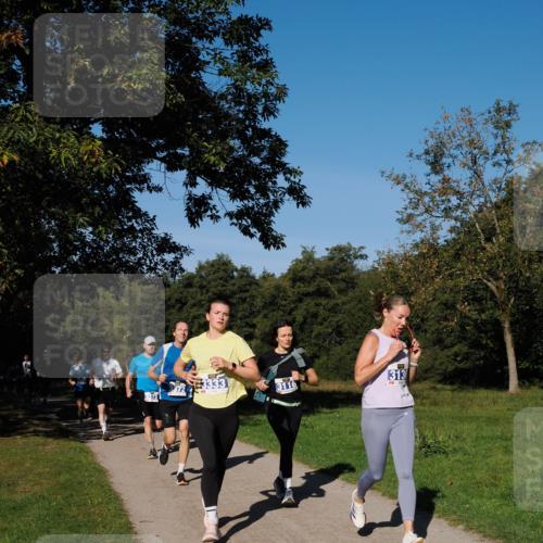 28.09.2025 - 33. Volkslauf durch das schöne Alstertal Fabian Wolf http://msf.ph/oto/8980012 28.09.2025 10:34:51 Laufen 3116, 3136 meine-sportfotos.de