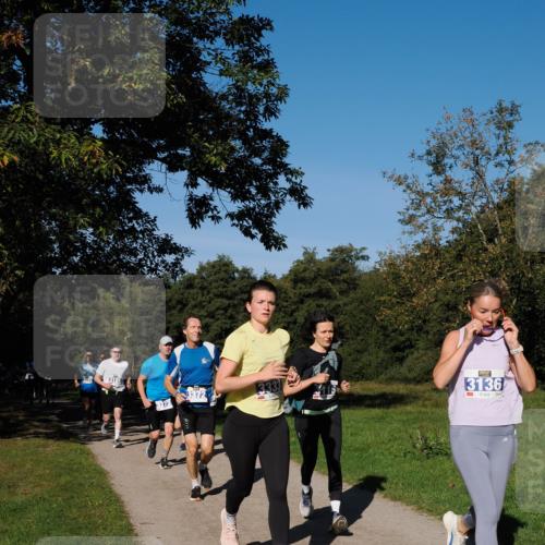 28.09.2025 - 33. Volkslauf durch das schöne Alstertal Fabian Wolf http://msf.ph/oto/8980016 28.09.2025 10:34:51 Laufen 3373, 3333, 3136 meine-sportfotos.de