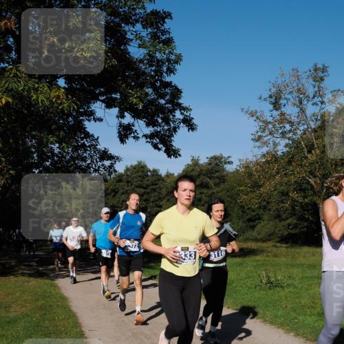 28.09.2025 - 33. Volkslauf durch das schöne Alstertal Fabian Wolf http://msf.ph/oto/8980018 28.09.2025 10:34:52 Laufen 3931, 3188, 373, 333, 3116 meine-sportfotos.de